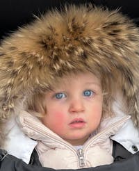 Original reference photo