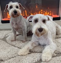 Original reference photo