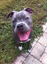 Original reference photo