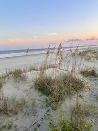 Original reference photo