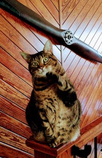 Original reference photo