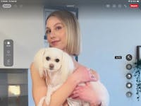 Original reference photo