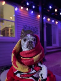 Original reference photo